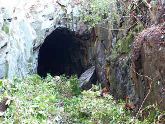 S9_BWH19-3-05Goat Tunnel from trackbed.jpg (97847 bytes)